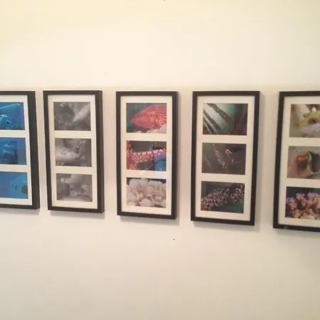 Domus Municipio Napoli